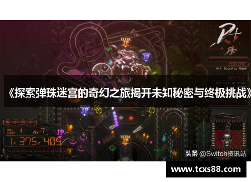 《探索弹珠迷宫的奇幻之旅揭开未知秘密与终极挑战》